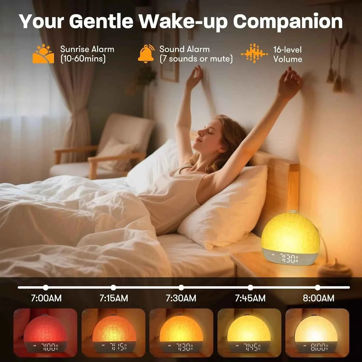 DreamLight™